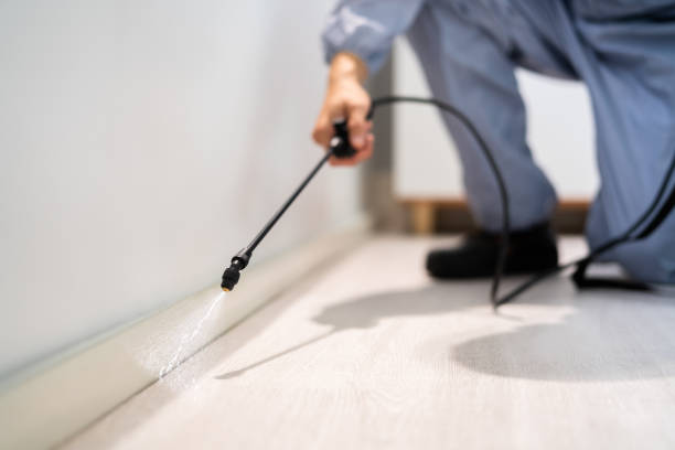 Licensed Fumigation Services service in Monrovia, CA - Nex Pest Control