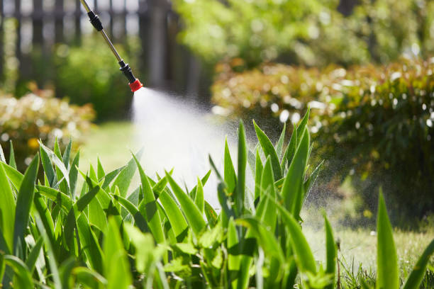 24/7 Emergency Fumigation Services experts in Monrovia, CA