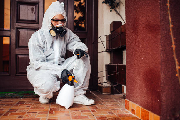 Reliable Fumigation Services contractor in Monrovia, CA by Nex Pest Control