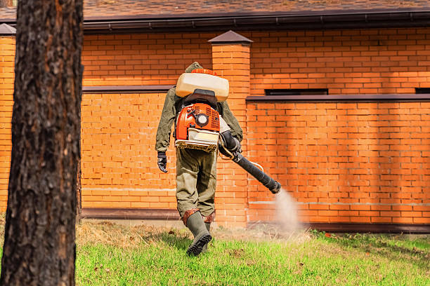 Top rated local Fumigation Services specialists in Monrovia, CA